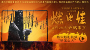 亚洲高清日韩精品第一区