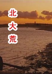 免费不卡的av