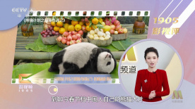 五月天婷婷亚洲
